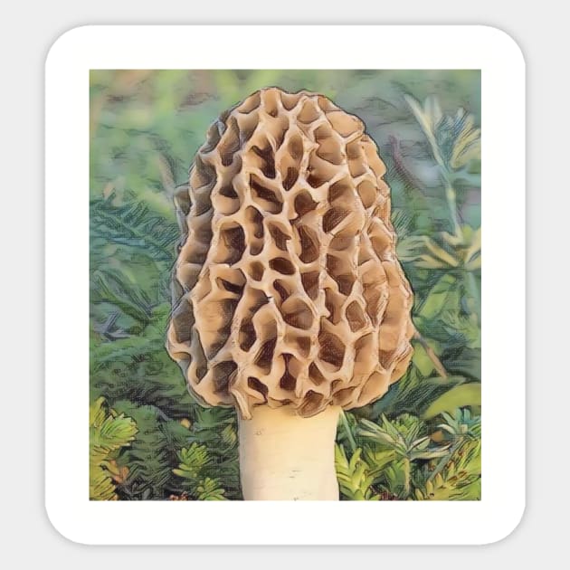 Morel Dreams Sticker by Nfa Photo Art